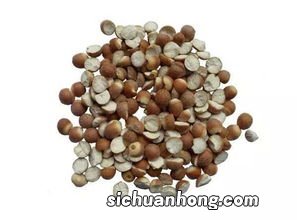 芡实要煮多久才熟