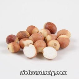 芡实要煮多久才熟