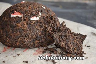 普洱茶有什么菌