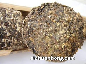 普洱茶有什么菌