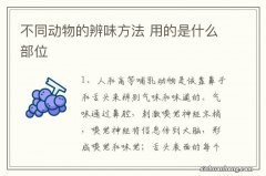 不同动物的辨味方法 用的是什么部位