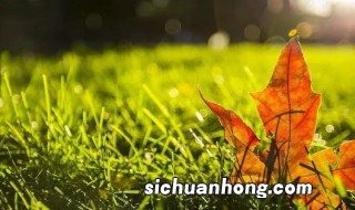 9月结束10月开始的句子 9月结束10月开始的句子列述