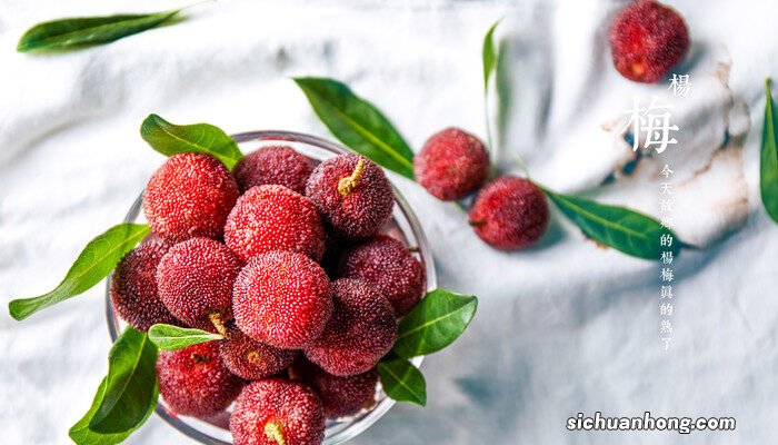 杨梅怎么洗最干净?杨梅的正确清洗方法-食材百科 杨梅怎么洗