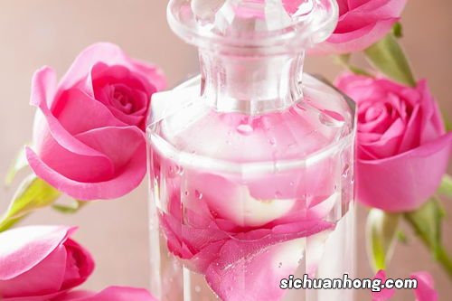 什么茶泡出来是蓝色的