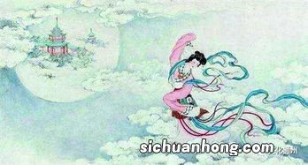 岩中玉兔是什么茶