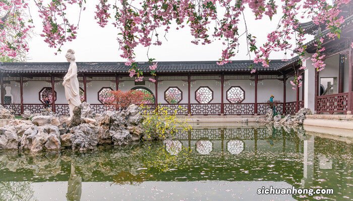 秋天有哪些树叶,形状和颜色 秋天有哪些树