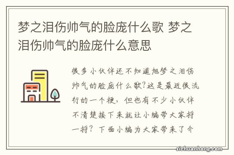 梦之泪伤帅气的脸庞什么歌 梦之泪伤帅气的脸庞什么意思