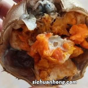 牛肉和白菜怎么做好吃法