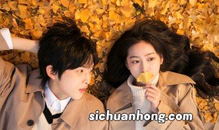 十年一品温如言演员表 十年一品温如言电视剧简介