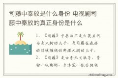 司藤中秦放是什么身份 电视剧司藤中秦放的真正身份是什么