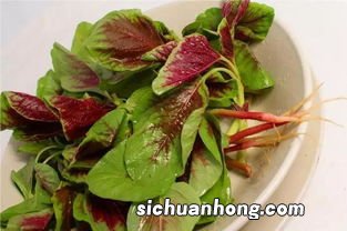 什么苋菜根茎粗大