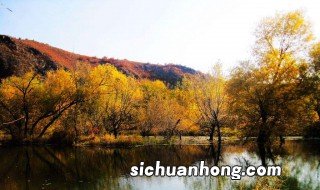 修高铁绕过扎兰屯吗 这个地方是一个旅游景点