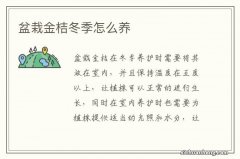 盆栽金桔冬季怎么养