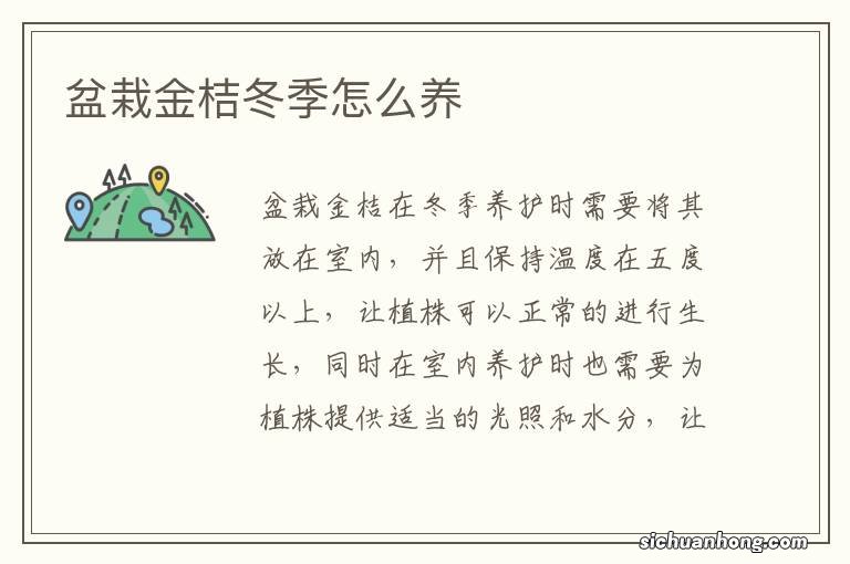 盆栽金桔冬季怎么养