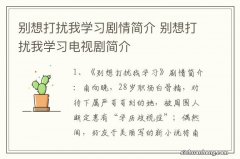 别想打扰我学习剧情简介 别想打扰我学习电视剧简介