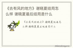 《去有风的地方》谢晓夏结局怎么样 谢晓夏最后结局是什么