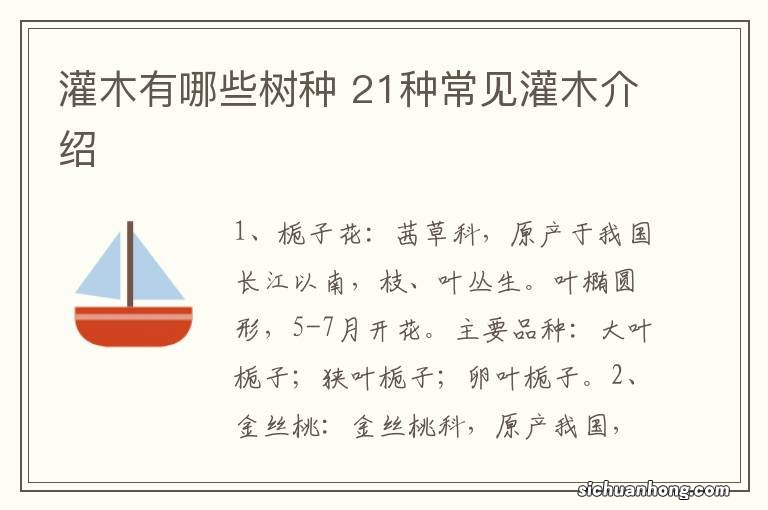 灌木有哪些树种 21种常见灌木介绍