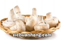 白醋泡鸡蛋能降血压吗?白醋泡鸡蛋降血压应该怎么吃?