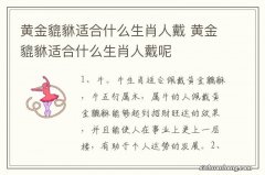 黄金貔貅适合什么生肖人戴 黄金貔貅适合什么生肖人戴呢