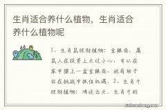 生肖适合养什么植物，生肖适合养什么植物呢