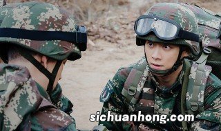 号手就位演员表 号手就位电视剧简介