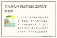 多肉怎么过冬防寒攻略 掌握温度很重要