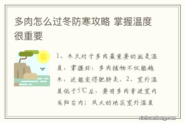 多肉怎么过冬防寒攻略 掌握温度很重要