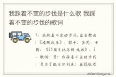 我踩着不变的步伐是什么歌 我踩着不变的步伐的歌词