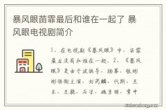 暴风眼苗霏最后和谁在一起了 暴风眼电视剧简介