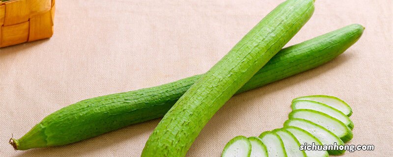 丝瓜几月份就不长了 丝瓜到几月份停止生长了