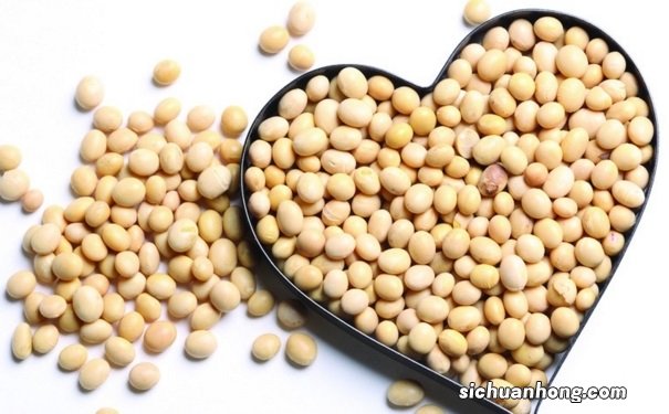 黄豆的营养有什么价值?怎么吃黄豆最养生?
