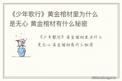 《少年歌行》黄金棺材里为什么是无心 黄金棺材有什么秘密