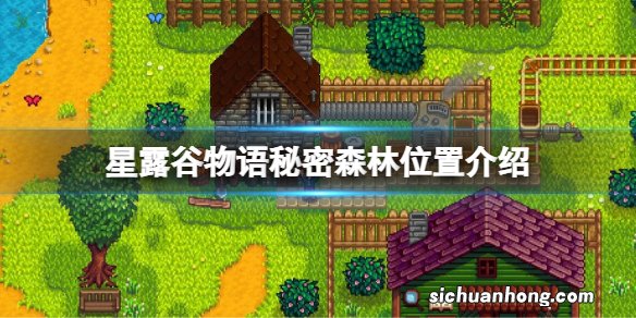 星露谷物语秘密森林位置介绍 星露谷物语秘密森林在哪
