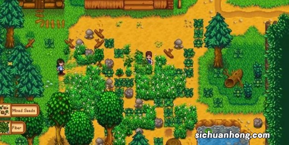 星露谷物语秘密森林位置介绍 星露谷物语秘密森林在哪