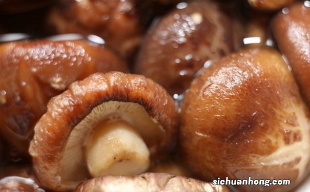 冬菇的功效作用有哪些？吃冬菇的好处是什么？