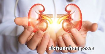 女人肾亏肾虚吃什么