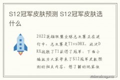 S12冠军皮肤预测 S12冠军皮肤选什么