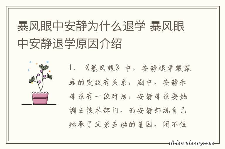 暴风眼中安静为什么退学 暴风眼中安静退学原因介绍
