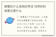 螃蟹吃什么食物好养活 饲养的时候要注意什么