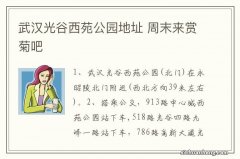 武汉光谷西苑公园地址 周末来赏菊吧