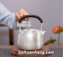 什么壶烧水泡茶好