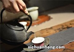 什么壶烧水泡茶好