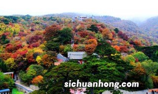 合川万亩枫林景区详细地址 需要门票吗