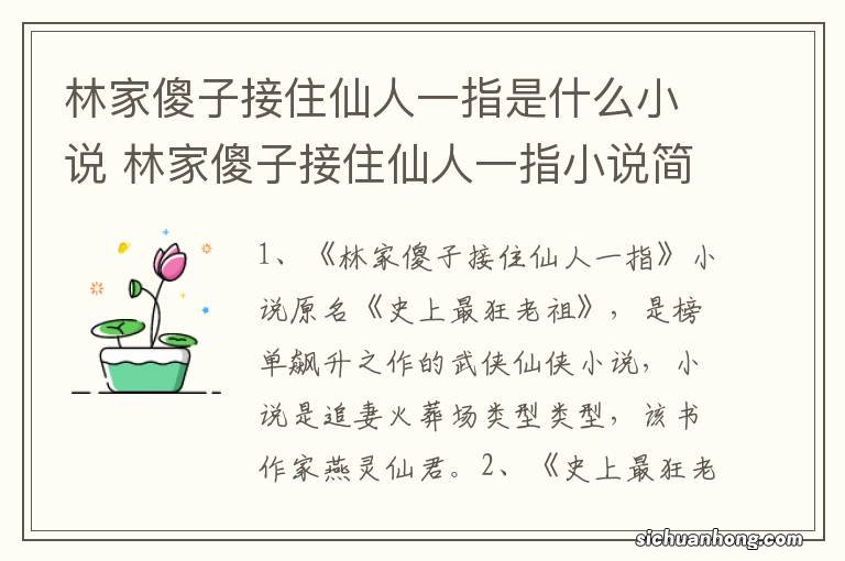 林家傻子接住仙人一指是什么小说 林家傻子接住仙人一指小说简介