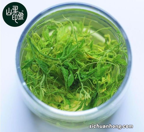 绞股蓝配什么泡茶