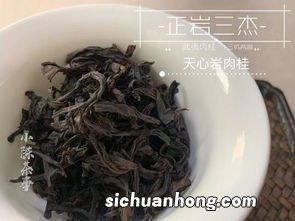 岩茶肉桂是什么时候发现的