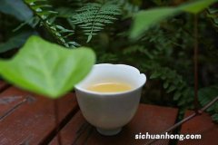 春竹茶是什么茶