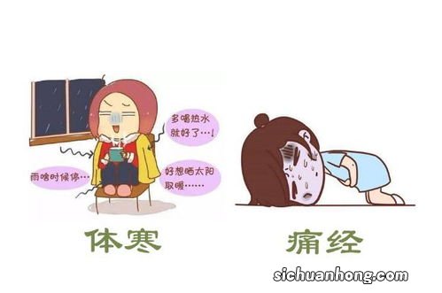 体寒的人带什么