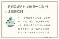 一更啊里呀月过花墙是什么歌 情人迷完整歌词