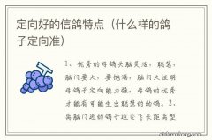 什么样的鸽子定向准 定向好的信鸽特点